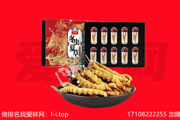 乌拉特后旗回收虫草.jpg